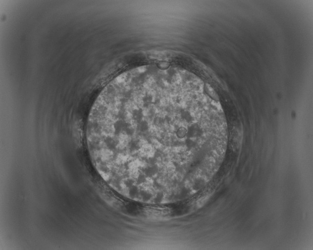 X0000087420707200705181423