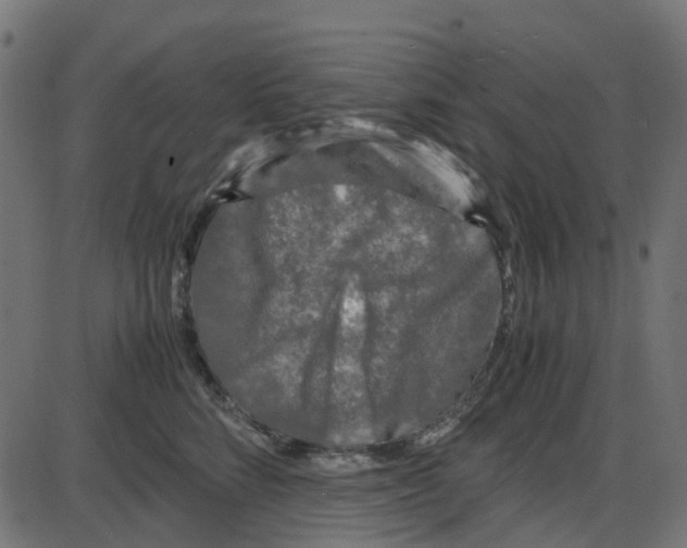 X0000087420712200705181423