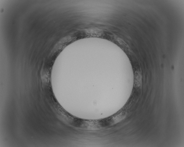 X0000087420713200705181423