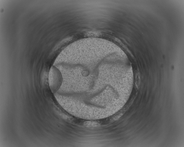 X0000087420714200705181423