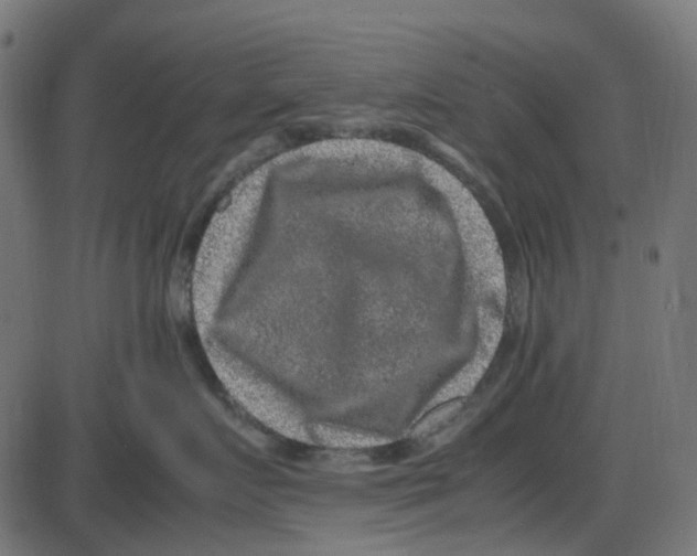 X0000087420719200705181422