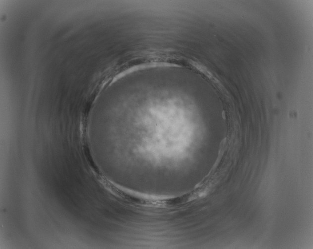 X0000087420720200705181422