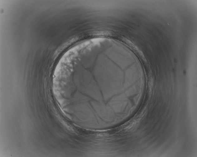 X0000087420721200705181422