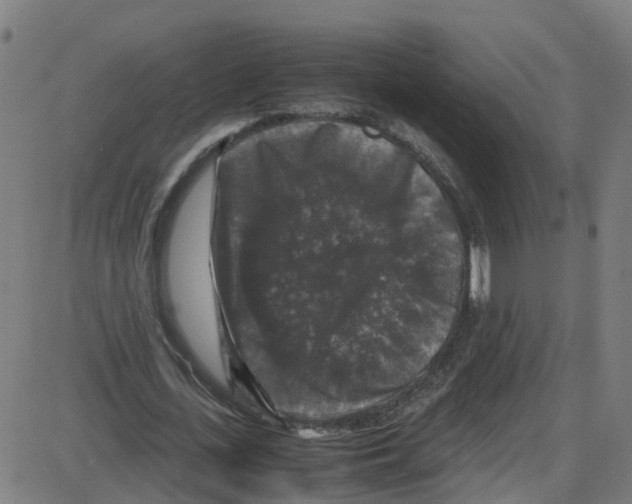 X0000087420723200705181422