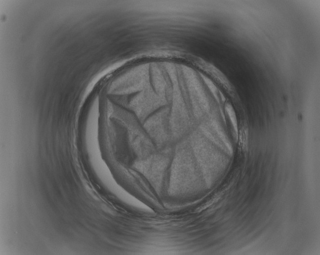 X0000087420724200705181422