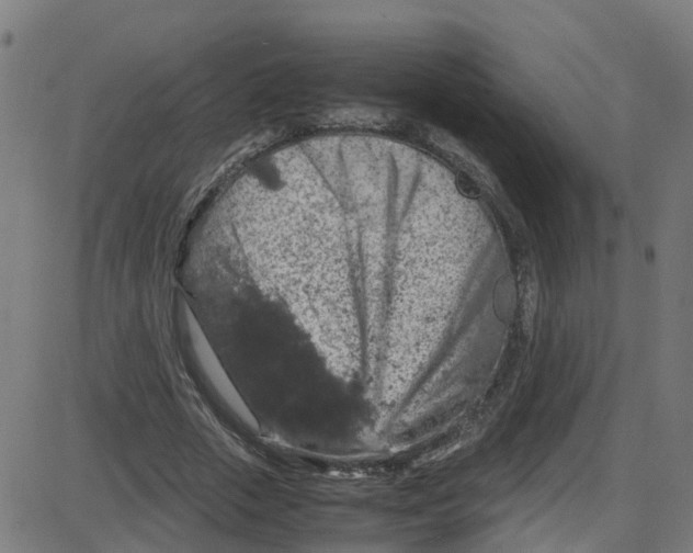 X0000087420729200705181422