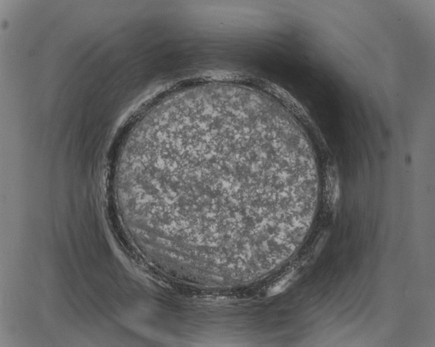 X0000087420730200705181422