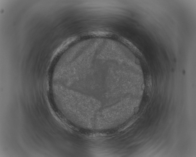X0000087420734200705181422