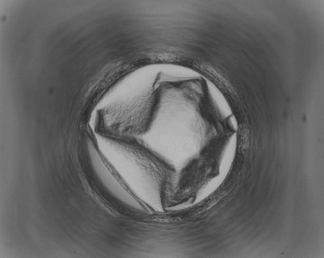 X0000087420738200705181422