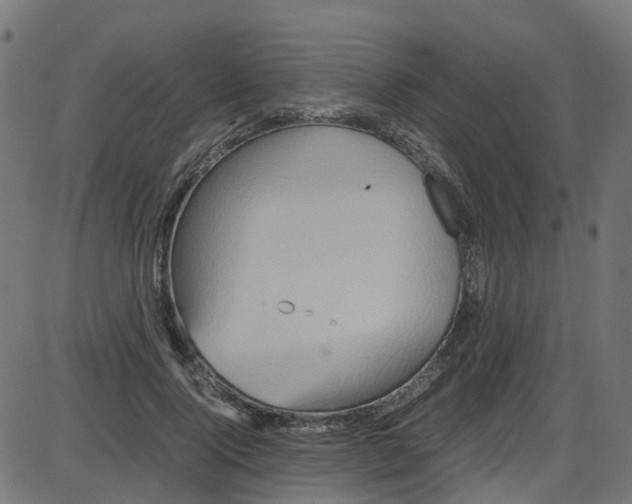 X0000087420740200705181422