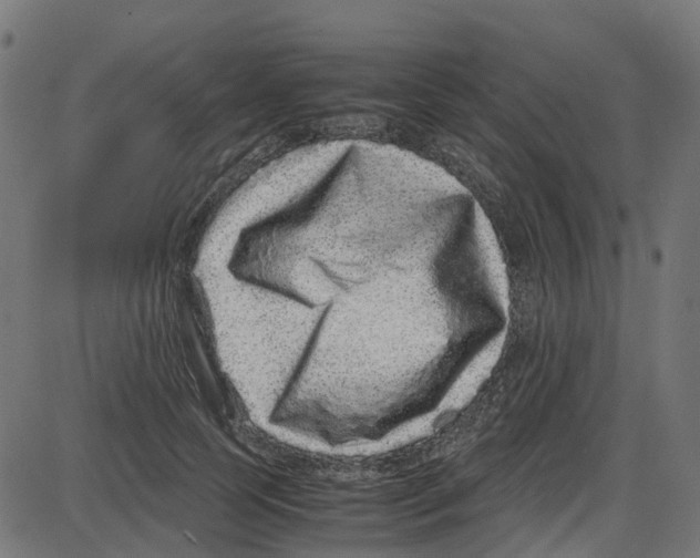 X0000087420745200705181422