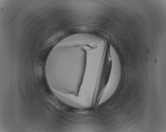 X0000087420746200705181422