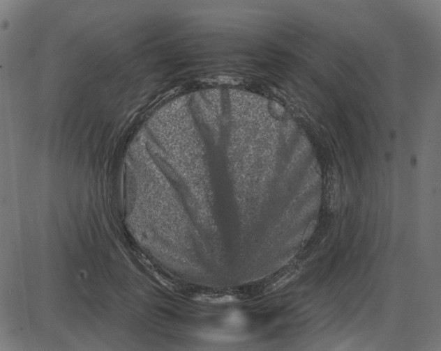X0000087420747200705181422