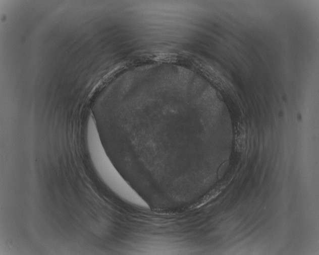 X0000087420748200705181422