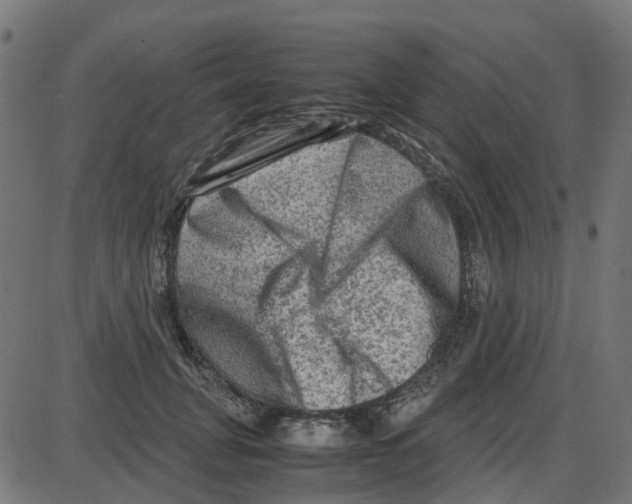 X0000087420751200705181422