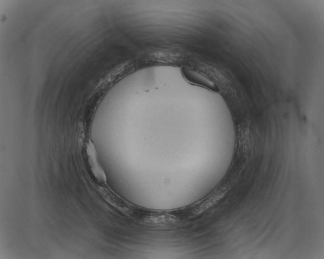 X0000087420752200705181422