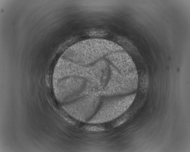 X0000087420755200705181422