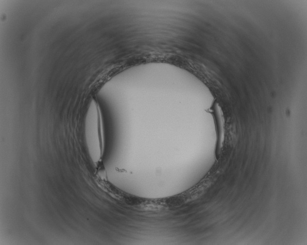 X0000087420756200705181422