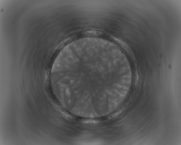 X0000087420759200705181422
