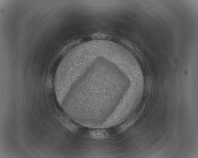 X0000087420761200705181422