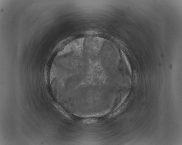 X0000087420762200705181422