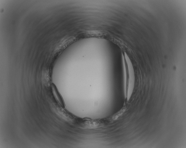 X0000087420764200705181422