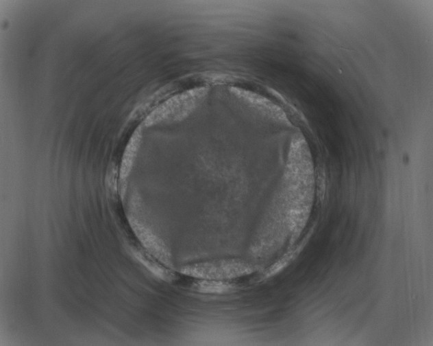 X0000087420766200705181422