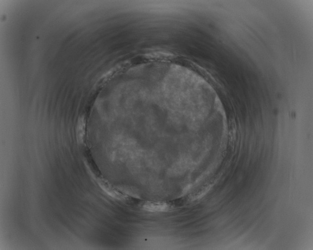 X0000087420767200705181422