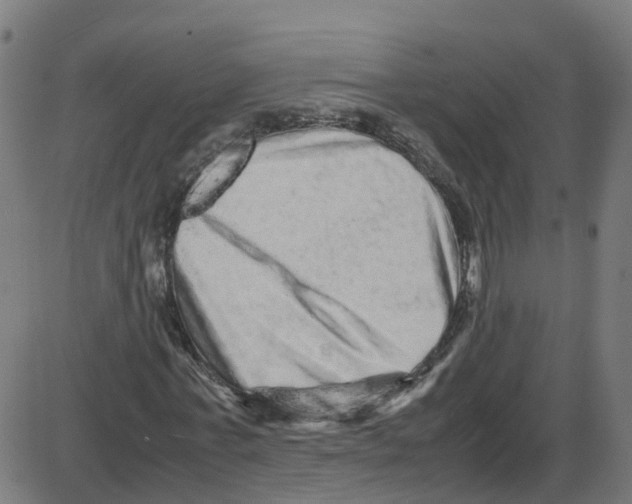 X0000087420771200705181422
