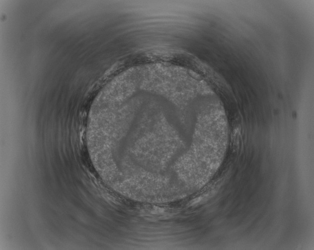X0000087420772200705181422