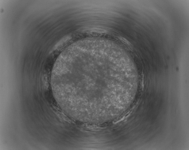 X0000087420774200705181422