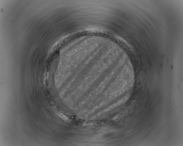 X0000087420776200705181422