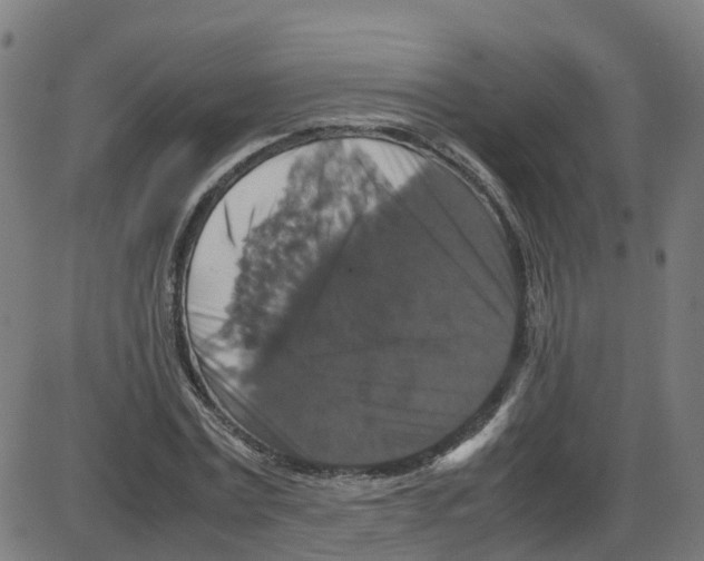 X0000087420779200705181421