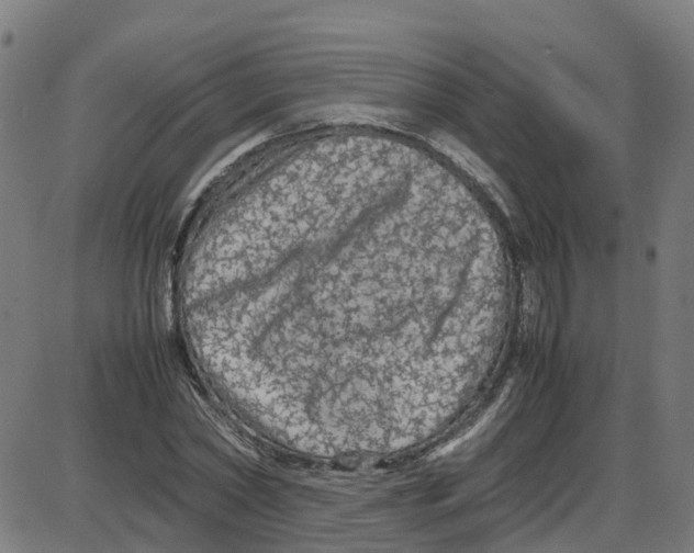 X0000087420782200705181421