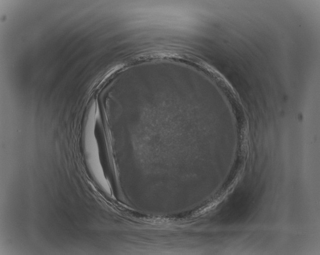 X0000087420785200705181421