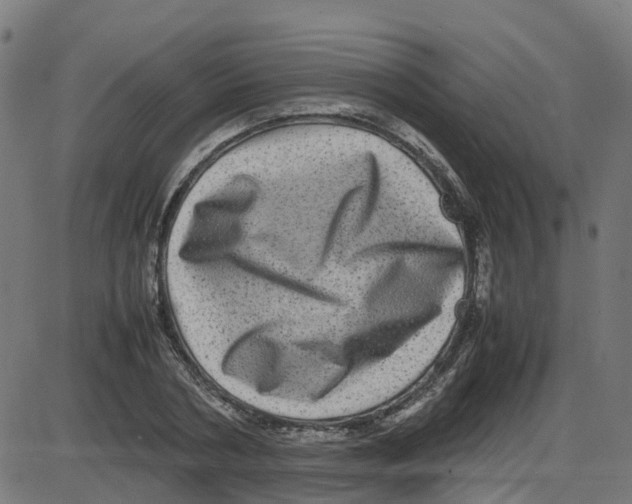 X0000087420786200705181421