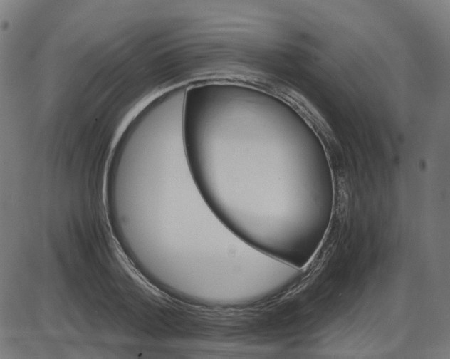 X0000087420788200705181421