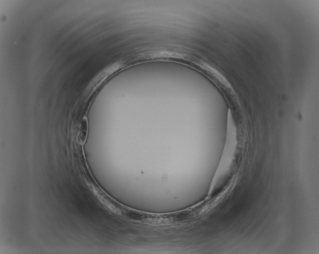 X0000087420793200705181421