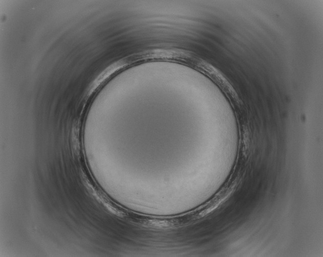 X0000087420794200705181421