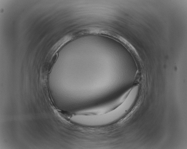 X0000087420801200705181421