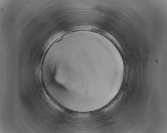X0000087420802200705181421
