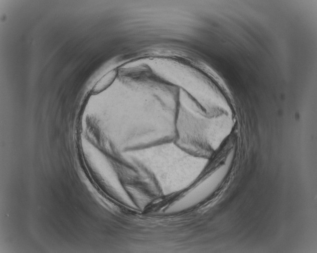 X0000087420803200705181421