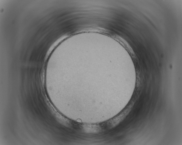 X0000087420804200705181421