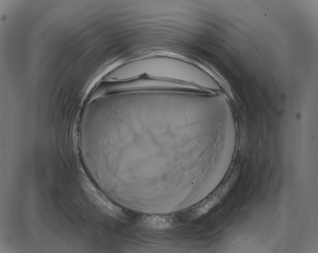 X0000087420806200705181421