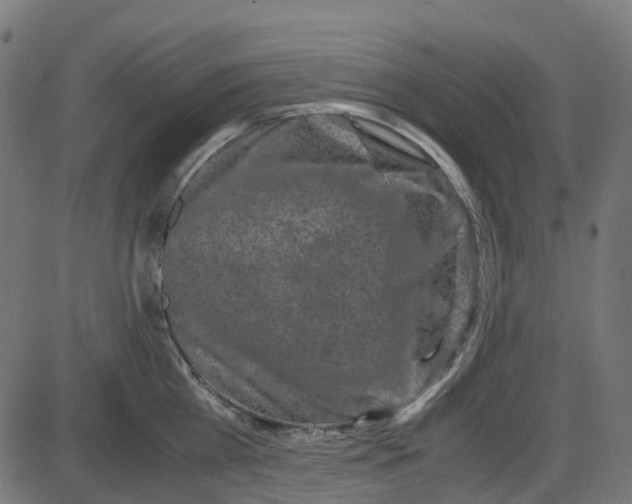 X0000087420809200705181421