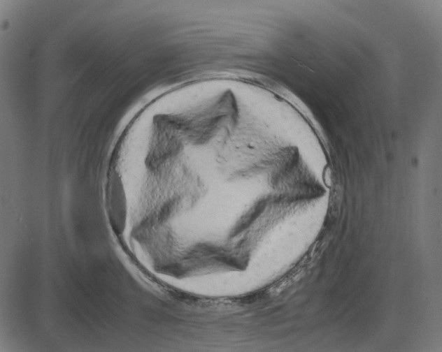 X0000087420811200705181421