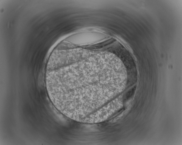 X0000087420816200705181421