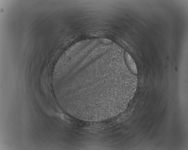 X0000087420817200705181420