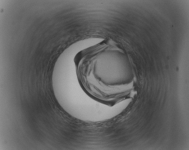 X0000087420818200705181420