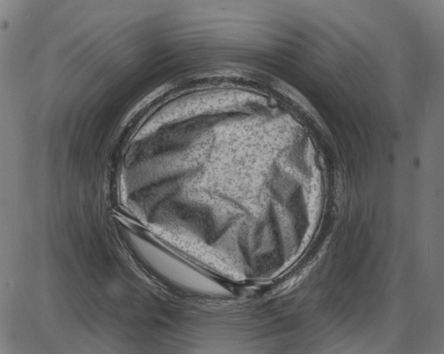 X0000087420826200705181420